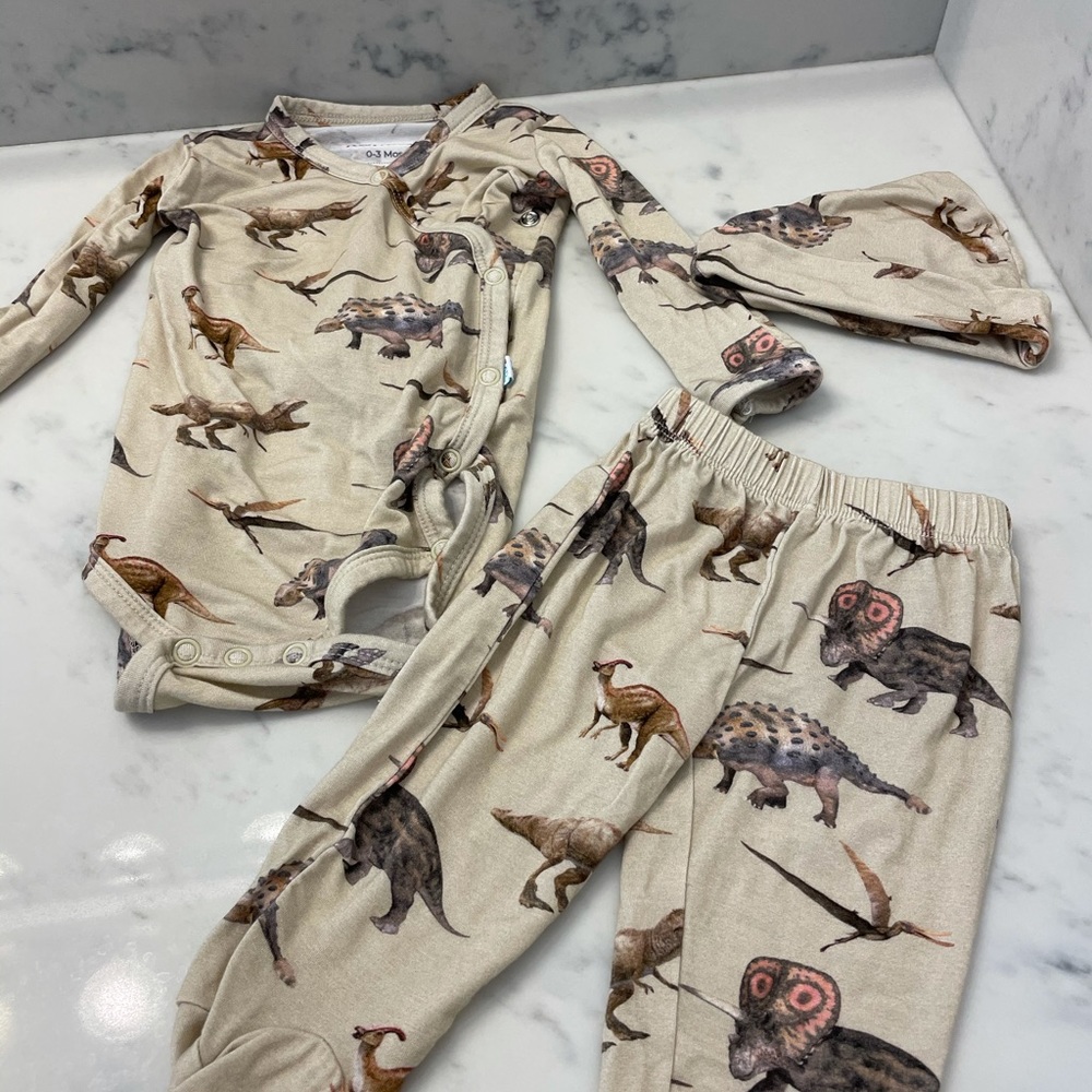 Posh Peanut 3 piece dinosaur set